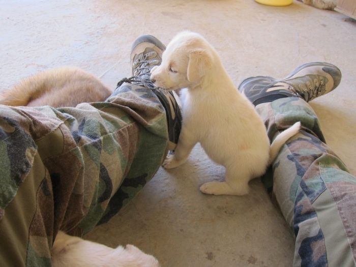 Acid Picdump (91 pics)