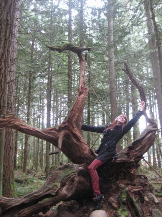 Acid Picdump (91 pics)
