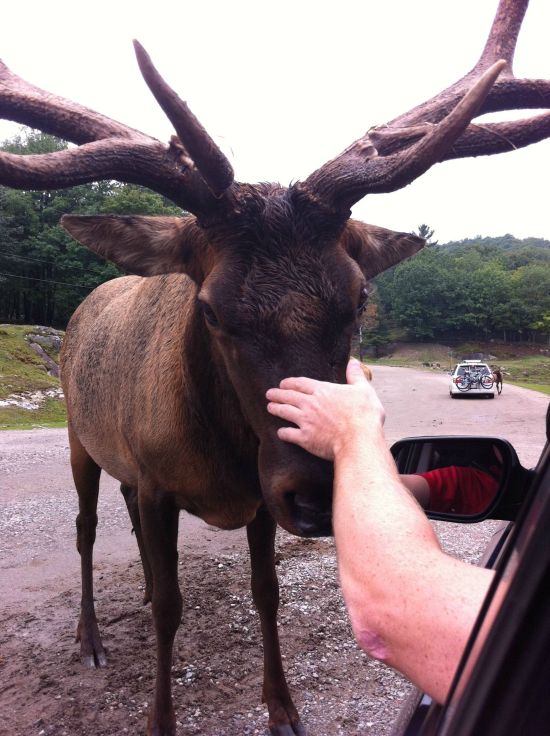 Acid Picdump (91 pics)