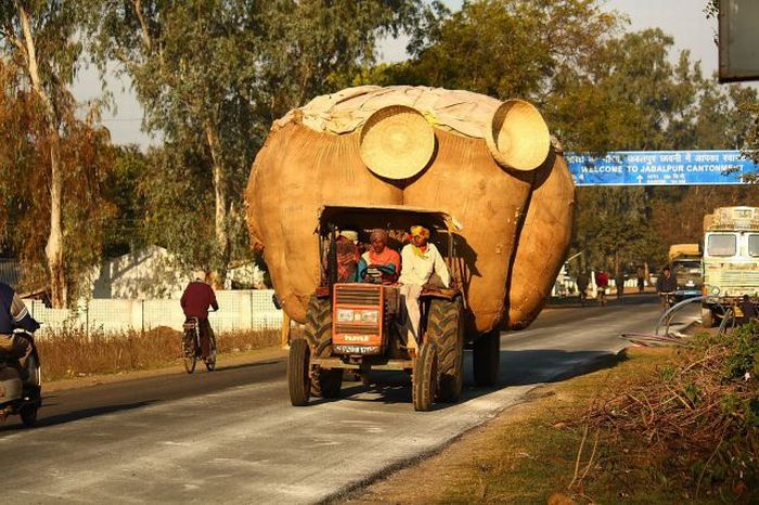Funny Overloaded Transport (50 pics)