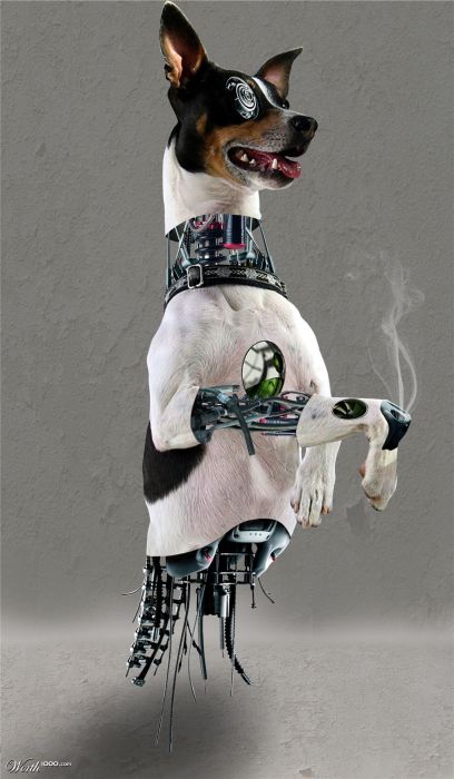 Incredible Robotic Animals Manipulations (38 pics)