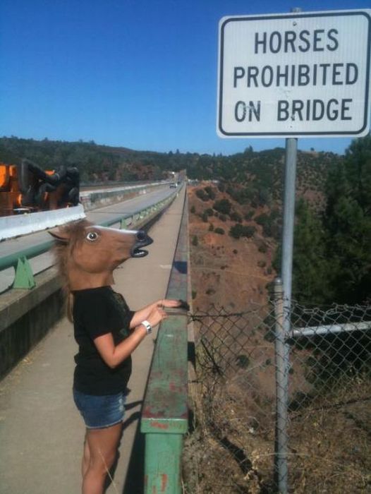 Weird and Funny WTF Signs. Part 6 (35 pics)