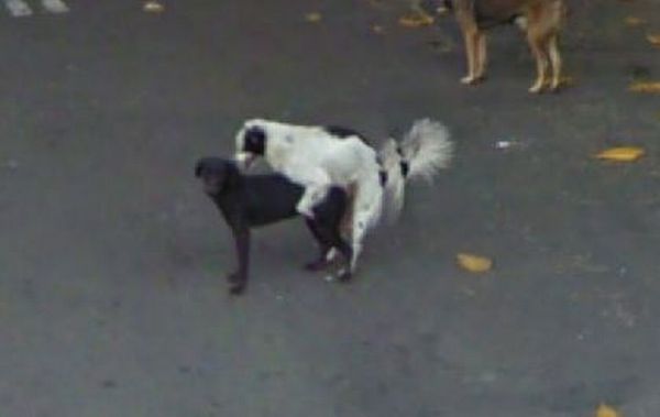 Strange Google Street View Images (40 pics)