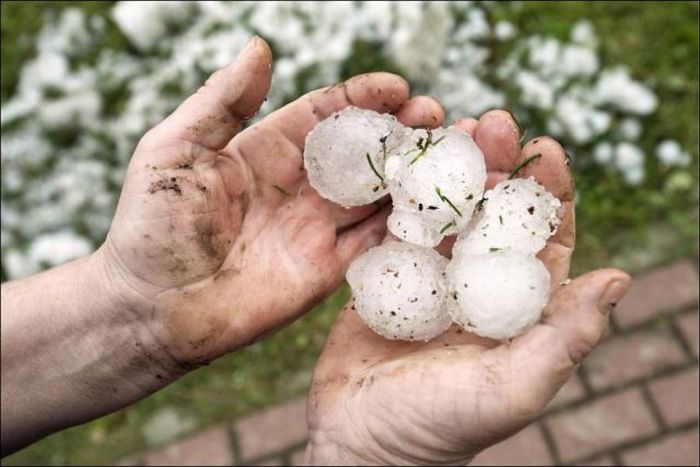 Ping Pong Ball Sized Hail in Germany (5 pics)