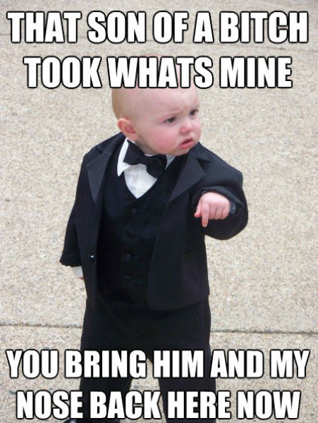 Funny Little Godfather Meme (17 pics)