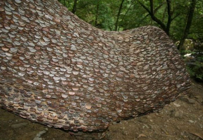 Money Tree That Brings Good Luck in Great Britain (12 pics)