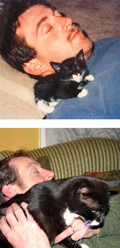 The Story of Two Cats Growing (15 pics) The Story of Two Cats Growing (15 pics)