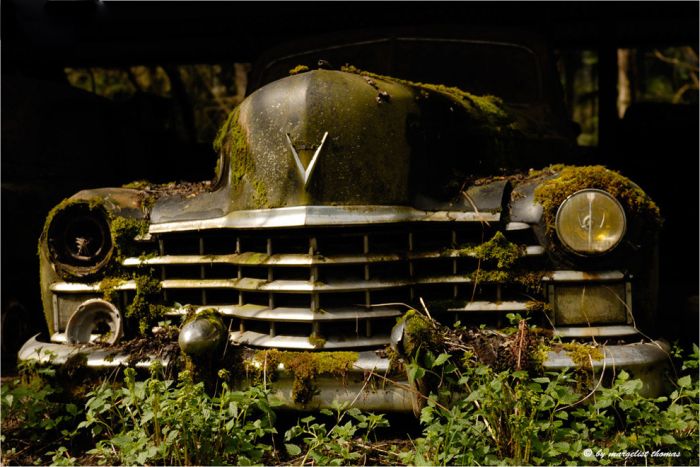The Final Resting Place of 1000 Cars in Switzerland (28 pics)