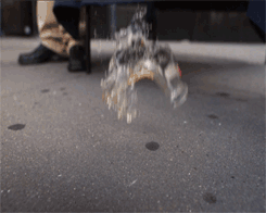 Things Falling in Slow Motion (8 gifs)