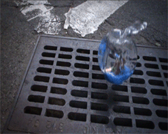 Things Falling in Slow Motion (8 gifs)