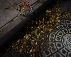 Things Falling in Slow Motion (8 gifs)