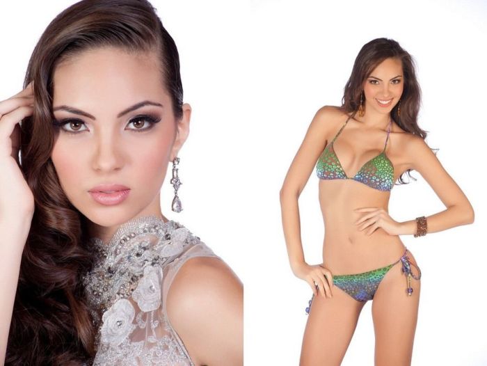 The Hottest Girls of 2011 Miss Universe Pageant (89 pics)