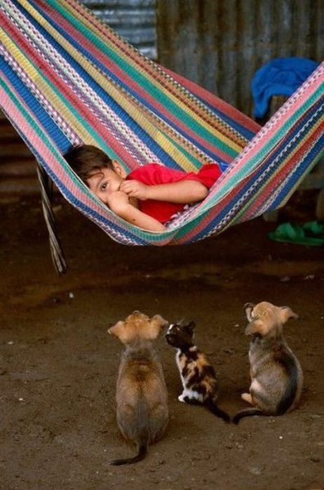 Acid Picdump (83 pics)
