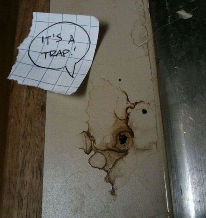 Acid Picdump (83 pics)