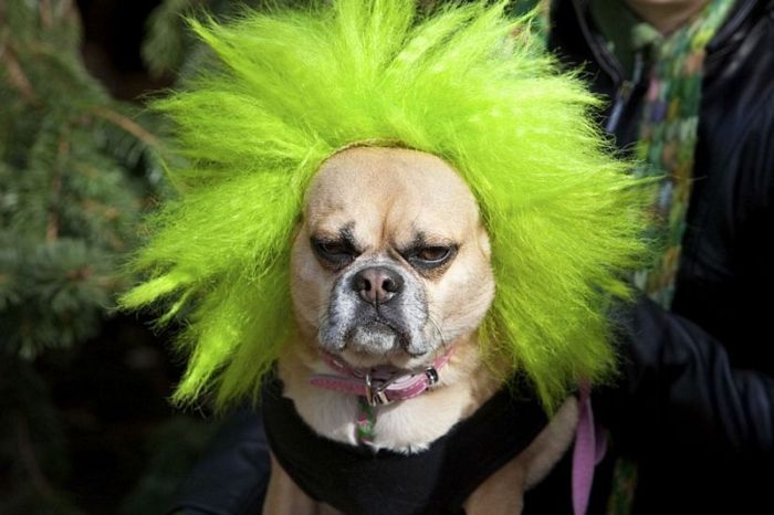 Acid Picdump (83 pics)