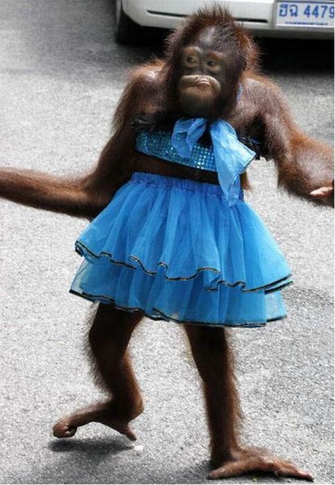 Acid Picdump (83 pics)