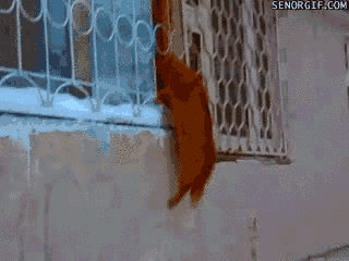 Acid Gifdump (10 gifs)
