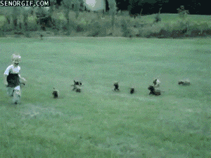 Acid Gifdump (10 gifs)