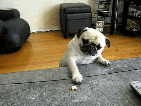 Acid Gifdump (10 gifs)