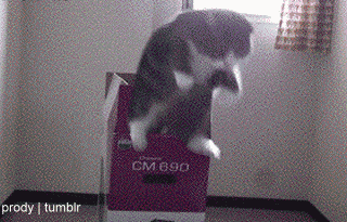 Acid Gifdump (10 gifs)