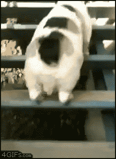 Acid Gifdump (10 gifs)