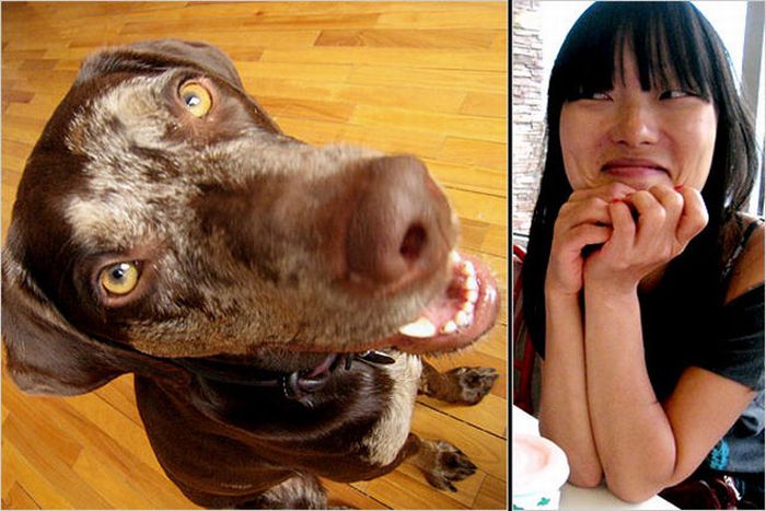 Dogs vs Dog Owners (52 pics)