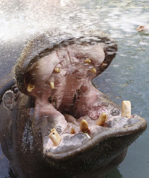 Acid Picdump (88 pics)