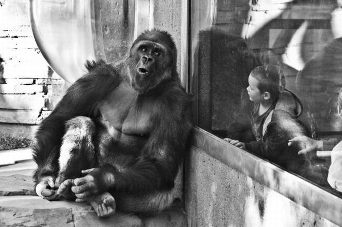 Acid Picdump (88 pics)