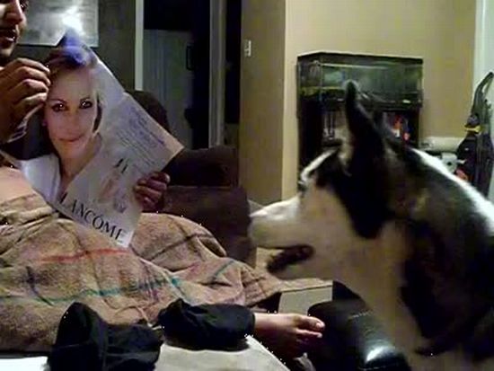 Photo of Julia Roberts Scares a Dog