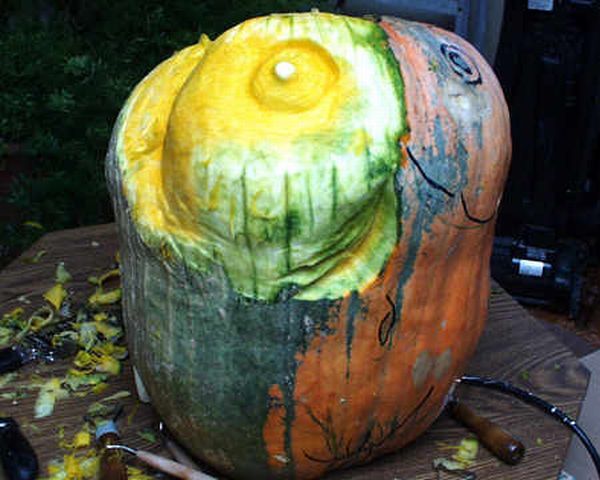 Adult Pumpkin (9 pics)