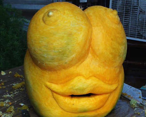 Adult Pumpkin (9 pics)