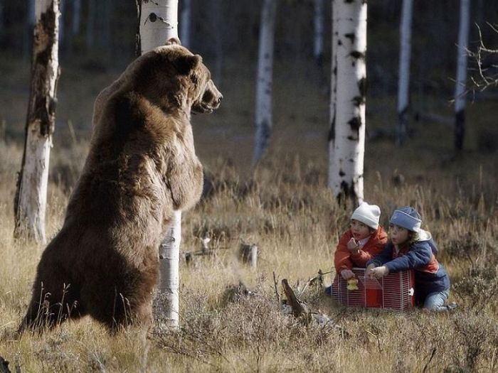 Acid Picdump (87 pics)