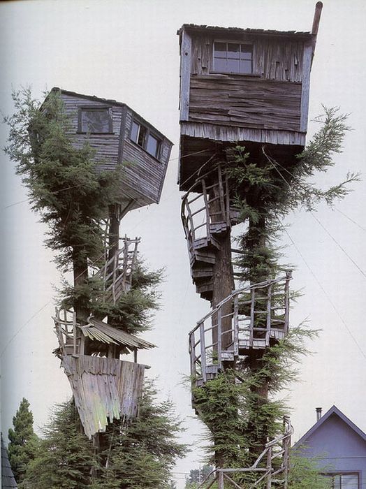 Acid Picdump (87 pics)