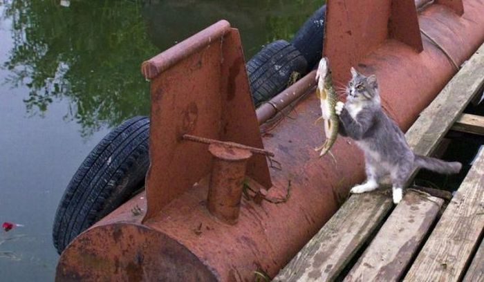 Acid Picdump (87 pics)
