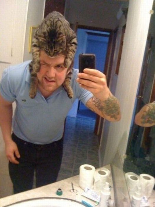 Acid Picdump (87 pics)