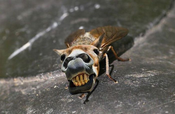 Acid Picdump (87 pics)