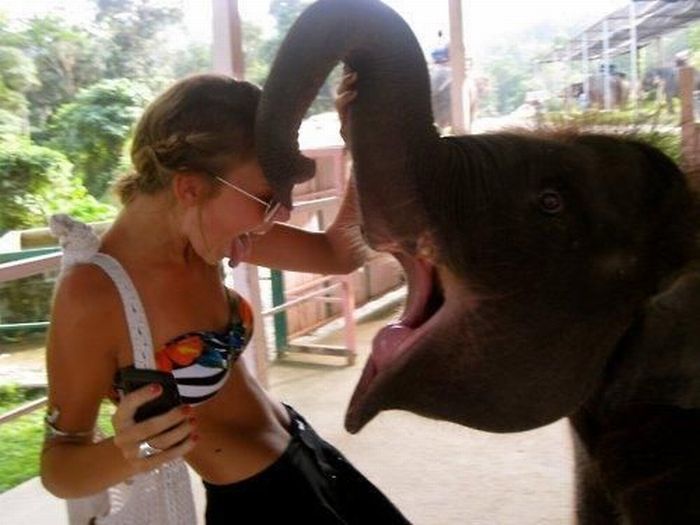 Acid Picdump (87 pics)