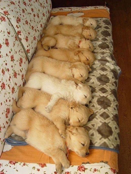 Acid Picdump (87 pics)