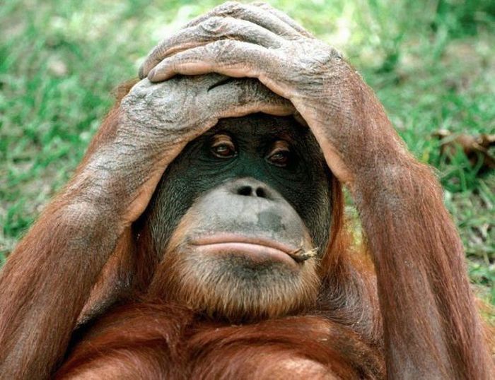 Acid Picdump (87 pics)