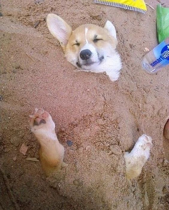 Acid Picdump (87 pics)