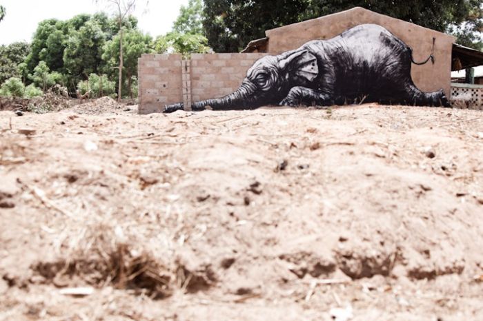 Street Art in Africa (15 pics)