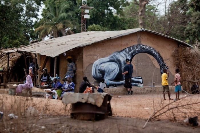 Street Art in Africa (15 pics)