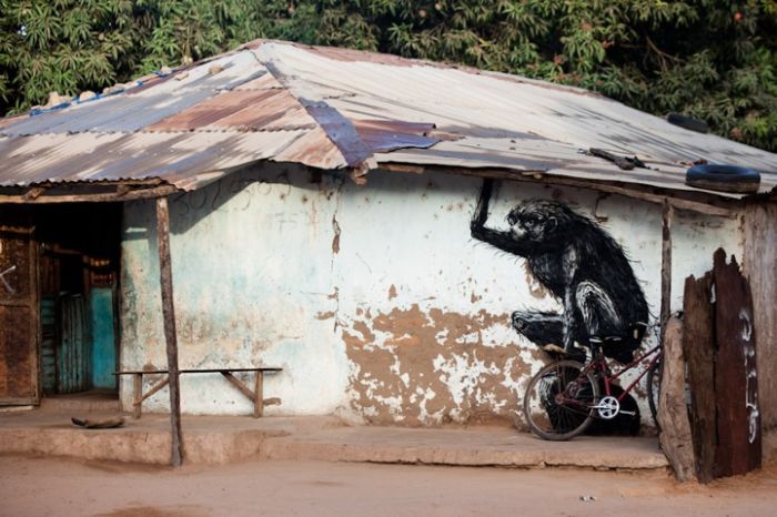Street Art in Africa (15 pics)