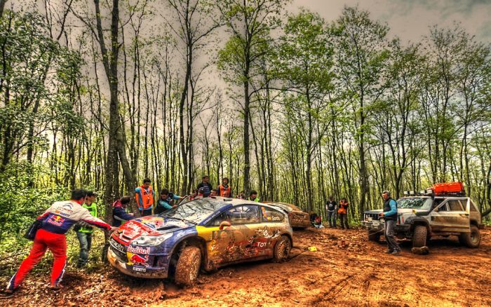 WRC Cars in HDR (17 pics)