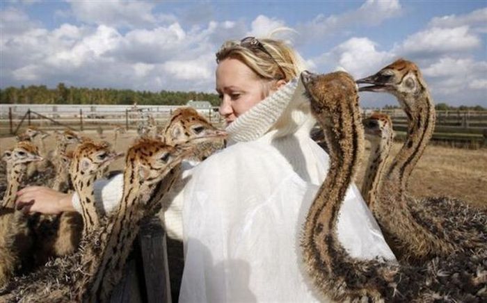Acid Picdump (88 pics)