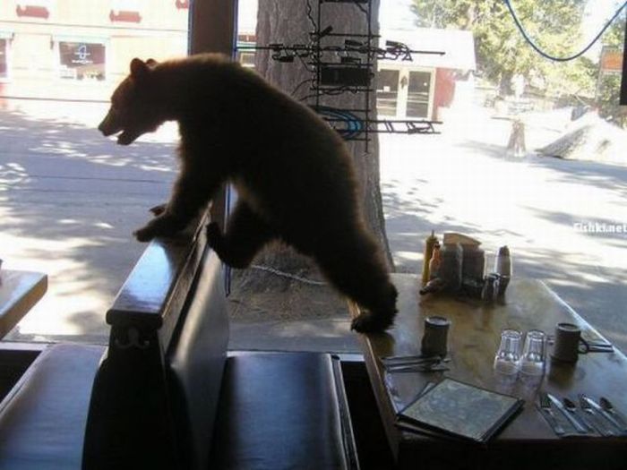 Acid Picdump (88 pics)