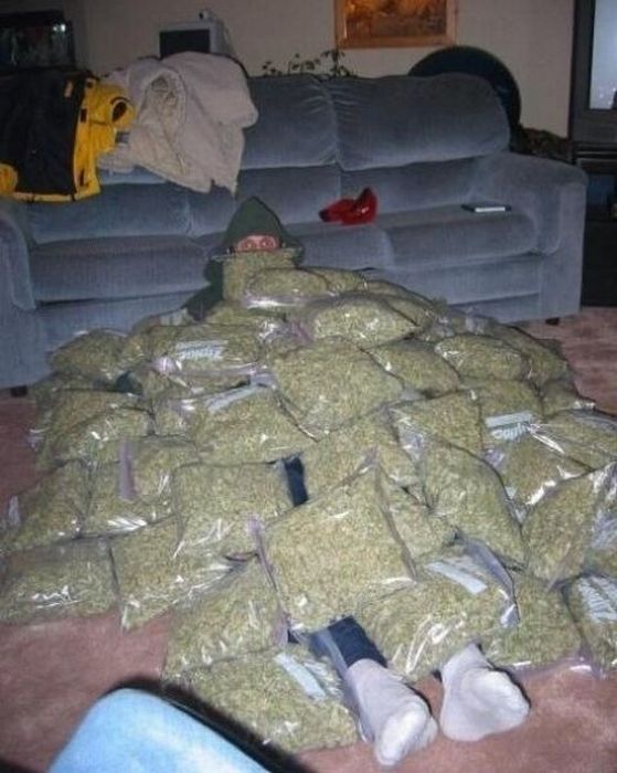 Acid Picdump (88 pics)