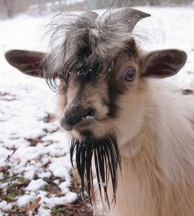 Acid Picdump (88 pics)
