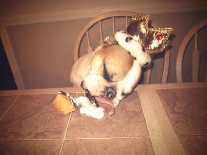 Acid Picdump (88 pics)