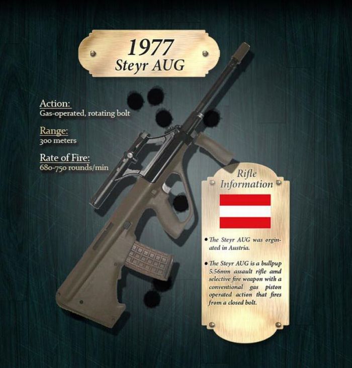 How the Rifle Evolved Through Years (18 pics)